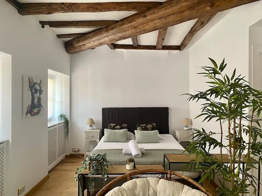 Appartement Le Roseau - En Plein Coeur Historique à Annecy
