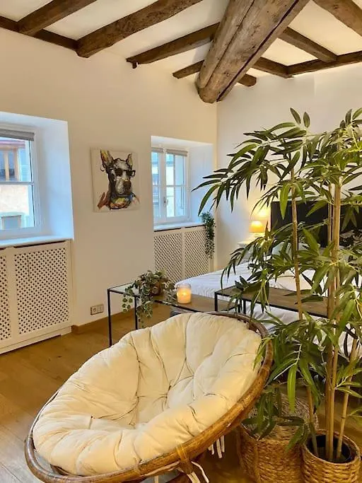 Appartement Le Roseau - En Plein Coeur Historique à Annecy